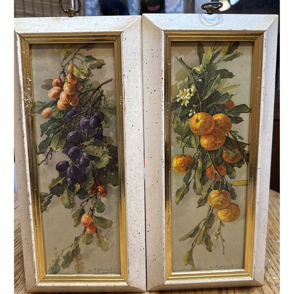 Turner Mfg 16.5" Hollywood Regency Pair Of Fruit Prints In Original Speckled Fra
